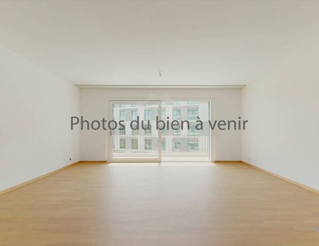 Bel appartement - Genève - Foto 1