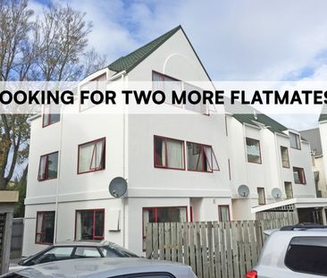 Two more flatmates needed for 2026 - Photo 3