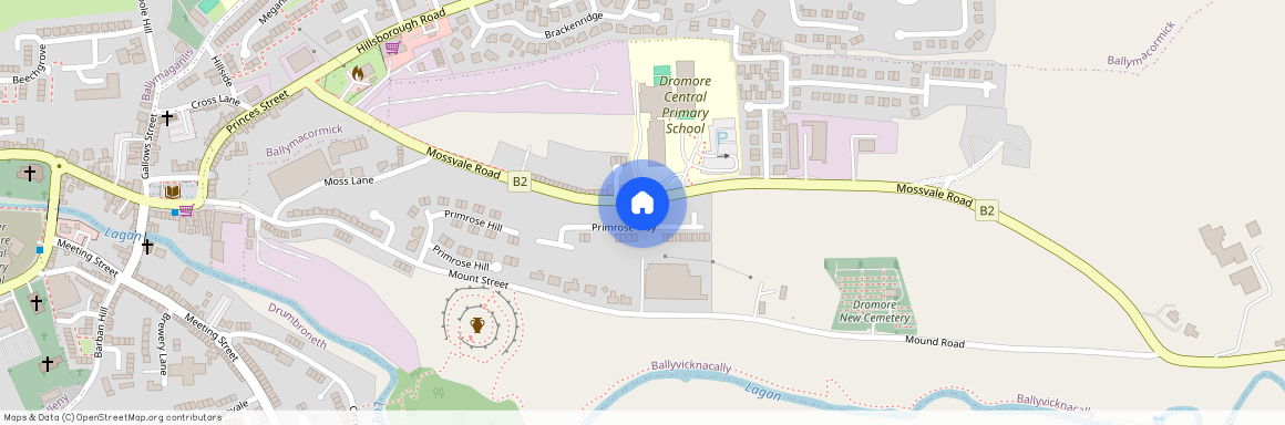 44 Primrose Way, Dromore, BT25 1TL