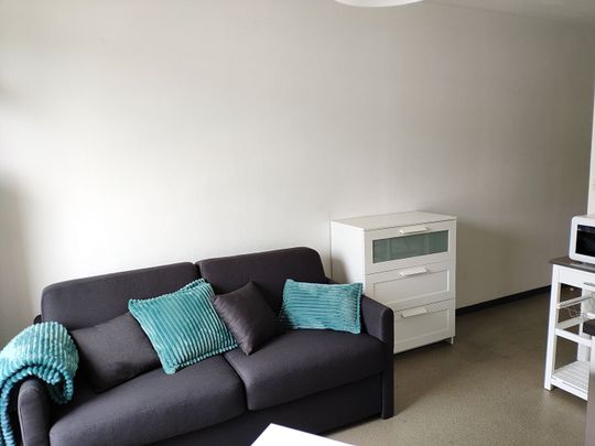 Location Appartement 1 pièce 18m² - Photo 1