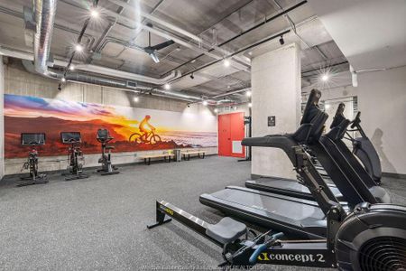 For Lease - 1624 LAUZON Unit# 313, Windsor, Ontario - Photo 4