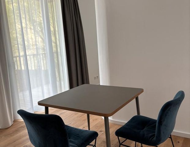 +++ Möbliertes Einzimmerapartment +++ - Foto 1