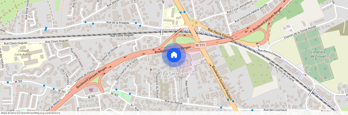 CLERMONT FERRAND (63100)