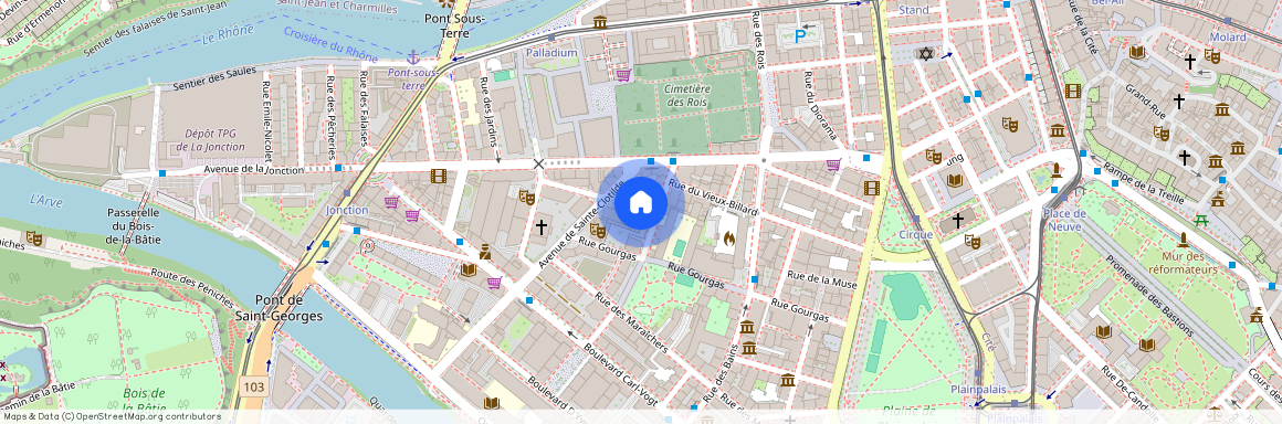 12, rue du Village-Suisse, 1205 Genève