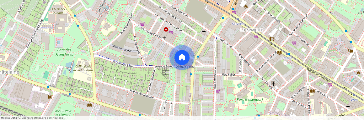 1203, Genève, Rue Châtelain