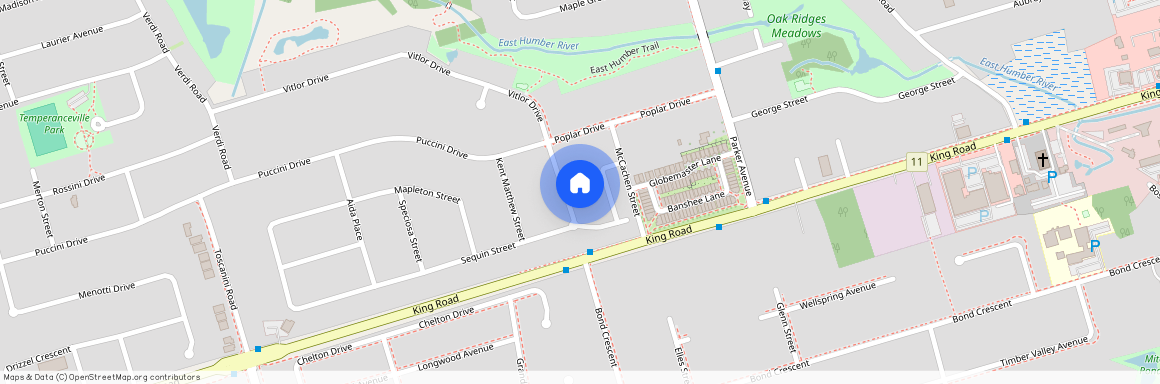 21 Seguin Street Unit# MAIN, Richmond Hill