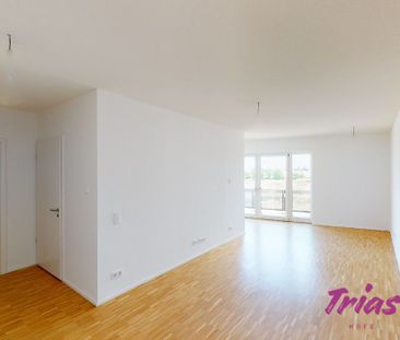 2-Zimmer-Wohnung mit spannendem Grundriss zu vermieten! - Photo 4