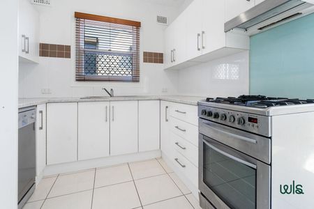 35 Groongal Street, Mayfield West NSW 2304 - House For Rent | Domain - Photo 2