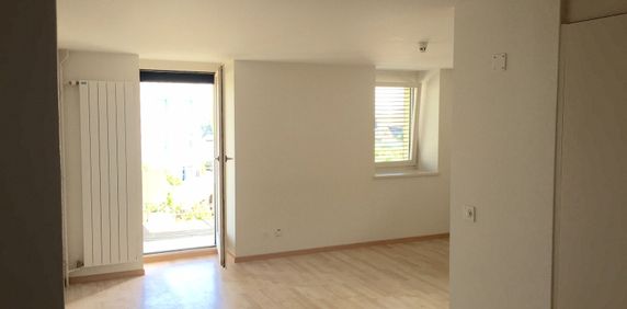 Beautiful bright apartment in the heart of Siviriez - Photo 2