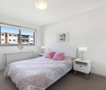 Leafy, private and minutes to the light rail - Photo 3