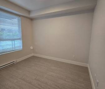 BRAND NEW - 1 bdrm & 1 Bath W/DEN - Pet Friendly - Photo 2