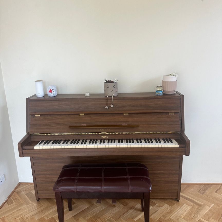 Brighton-le-sands - Photo 1