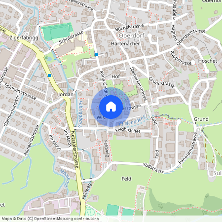 8753, Mollis, Wiesstrasse, 2