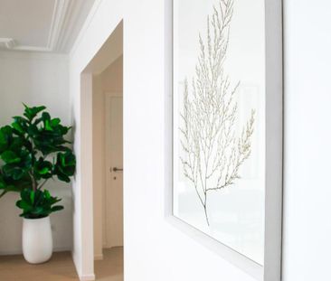 Luxe appartement aan keizerspark met zicht op schelde - Photo 3