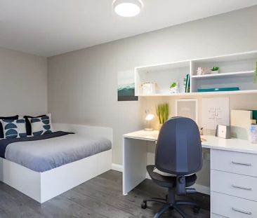 Premier Studio W/ Accessible Bathroom - Photo 4