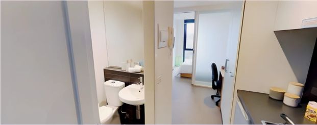 One Bedroom Standard Medium - Photo 1