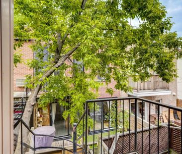 4833 Rue de Mentana, H2J 3C1, H2J 3C1, Montréal - Photo 4