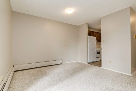 1 Bedroom - Photo 4