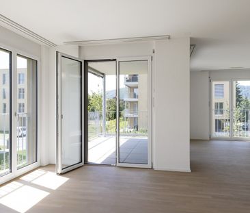 Wohn- & Wohlfühloase sucht neuen Mieter - Photo 3