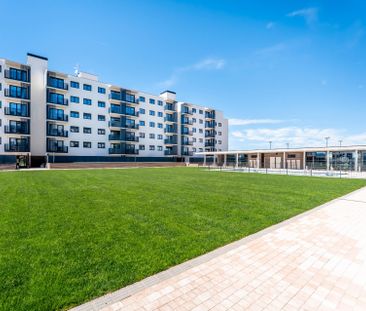 Piso de alquiler en Calle Jesús Pajares, 2, El Olivar - Photo 5