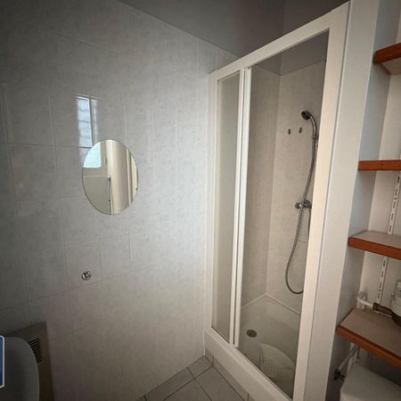 Location Appartement 1 pièce 18m² GRENOBLE 38000 - Photo 3