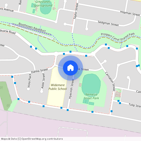 1 Hyacinth Street, NSW 2145, Greystanes