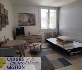 Location Appartement 1 pièce 19m² CAHORS 46000 - Photo 5