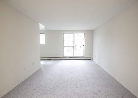 Springbank Gardens - Photo 2