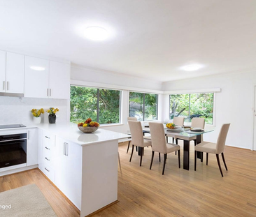 536 Willoughby Road, Willoughby NSW 2068 - House For Rent | Domain - Photo 5