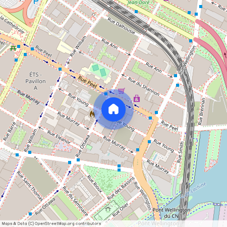 235 rue Young, Le Sud-Ouest, Le Sud-Ouest, Ile de Montréal, H3C 2G7