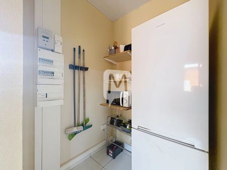 Location Appartement 1 pièce 26m² CAYENNE 97300 - Photo 5