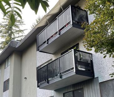 Blueridge Apartments - Photo 4