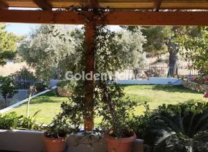 Μονοκατοικία για ενοικίαση - Ανάβυσσος, - Photo 3