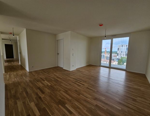 Ihre Kreativität ist gefragt - einzigartiges Wohnen mit Panoramablick (N29) - Foto 1