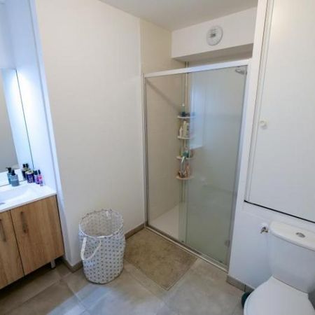 Studio meublé Minimes Toulouse - Photo 3