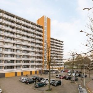 De Koppele 0ong, 5632 Eindhoven, Nederland - Foto 2