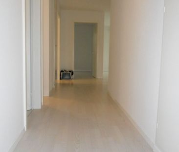 Charmante Wohnung an zentraler Lage in Küssnacht am Rigi - Photo 6