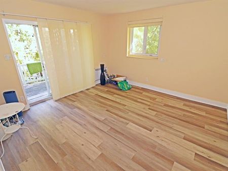 6561 Boul. Pie IX - Photo 4