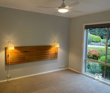 IMMACULATE - Photo 4