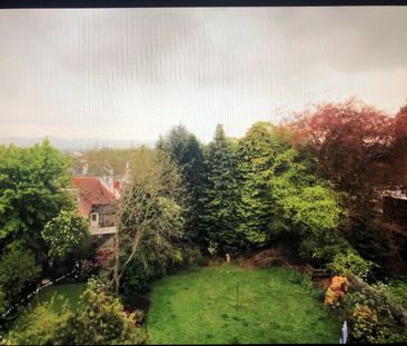 Room in a Shared Flat, Ormiston Terrace, EH12 - Photo 6