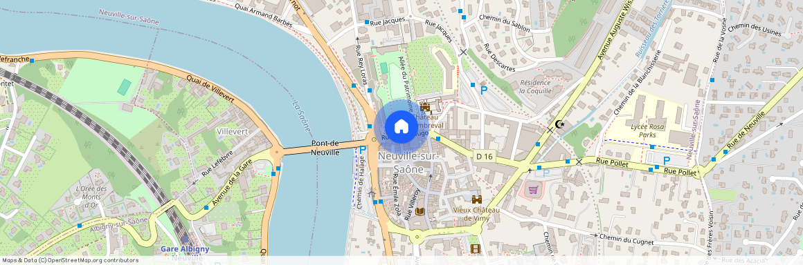 NEUVILLE SUR SAONE (69250)