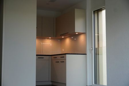 ERSTVERMIETUNG-LETZTE 4.5-ZIMMER WOHNUNG – BEZUG NACH VEREINBARUNG! - Photo 4