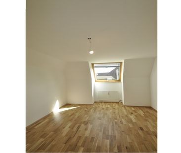Willkommen über den Dächern der Stadt! Neu sanierte Dachterrassenwo... - Photo 3