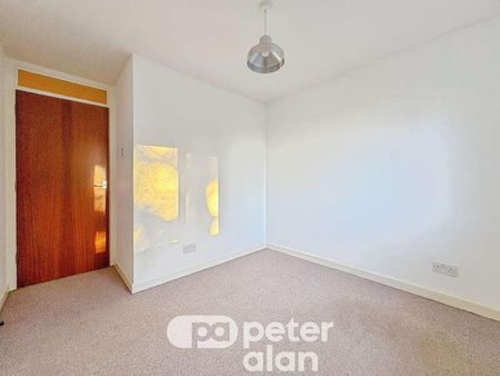 Celyn Avenue, Cyncoed, Cardiff, CF23 - Photo 4