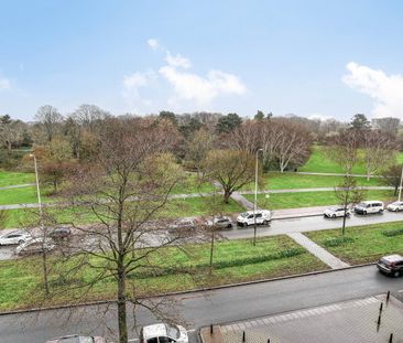 Te huur: Appartement Loevesteinlaan in Den Haag - Foto 5