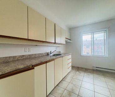 Appartement 4 ½ à louer Lévis juillet 2026 - Photo 2