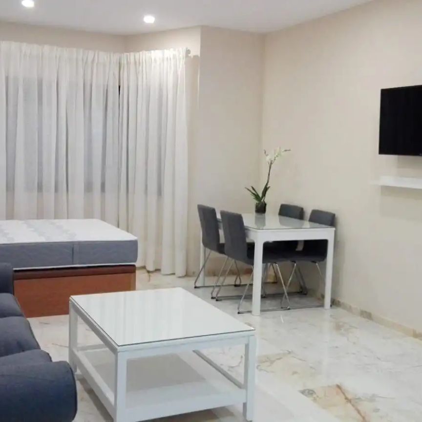 Estudio de alquiler en Avenida Alcalde Luis Uruñuela, Urbadiez - Entrepuentes - Photo 1