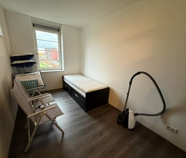 Westhove 51 - Photo 5