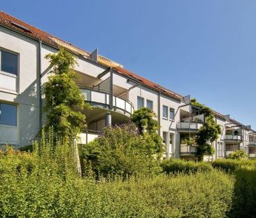 Vogelnest in schöner Lage: interessante 2-Zi.-Wohnung mit Ausblick - Photo 1