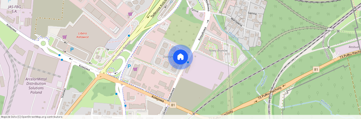 Rzepakowa 1H, Katowice, Brynów